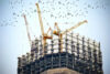 Baustelle mit mehreren gelben Turmkränen und Gerüsten während der Rohbauphase eines Hochhauses